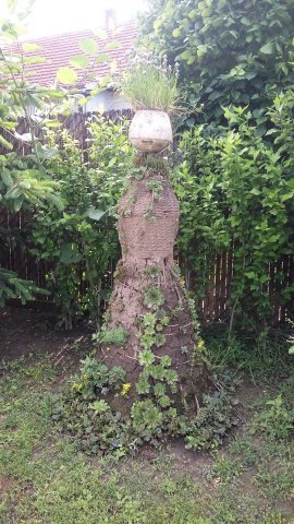 Zsiga Tünde kertje 03